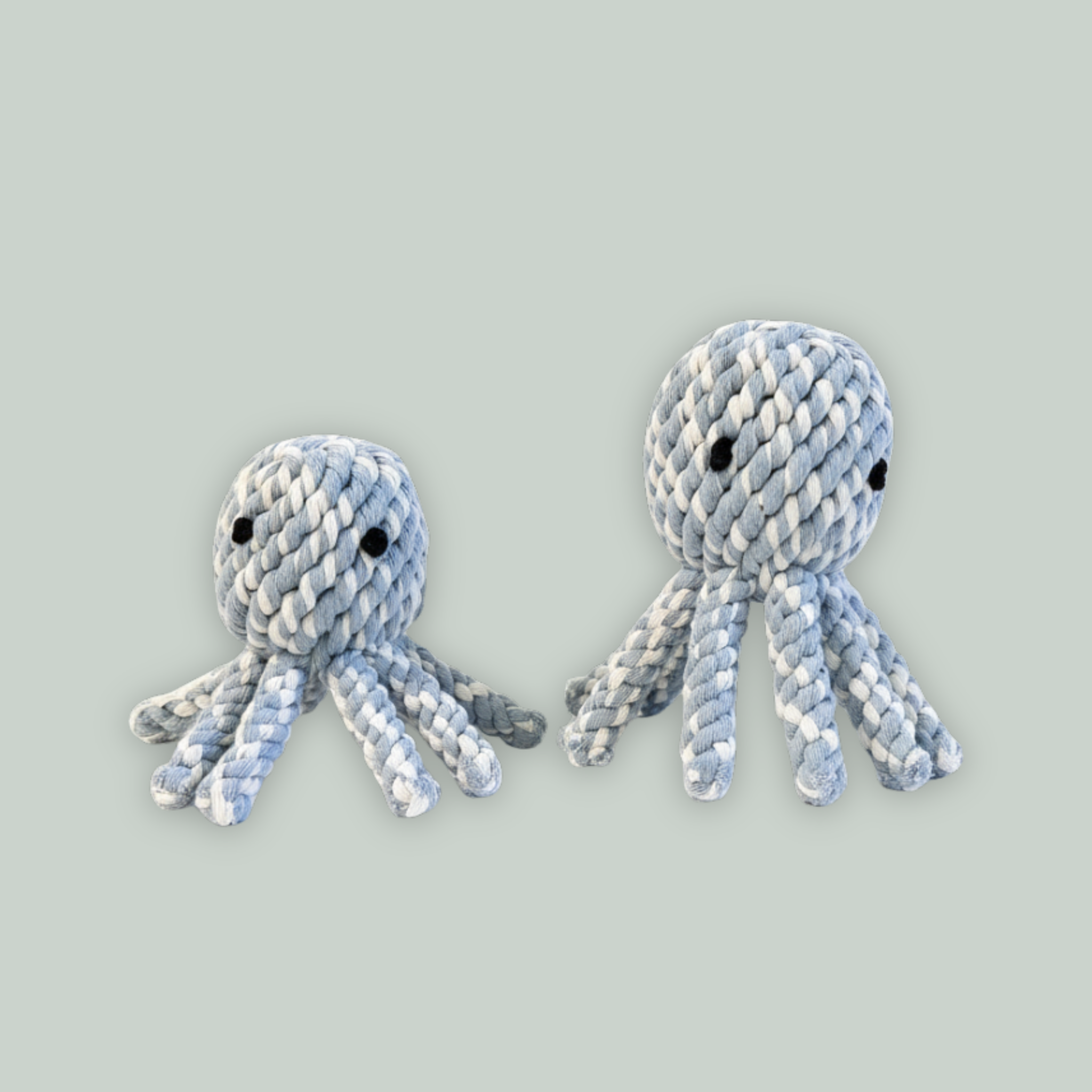 Kai the Octopus Rope Toy : New Version-1