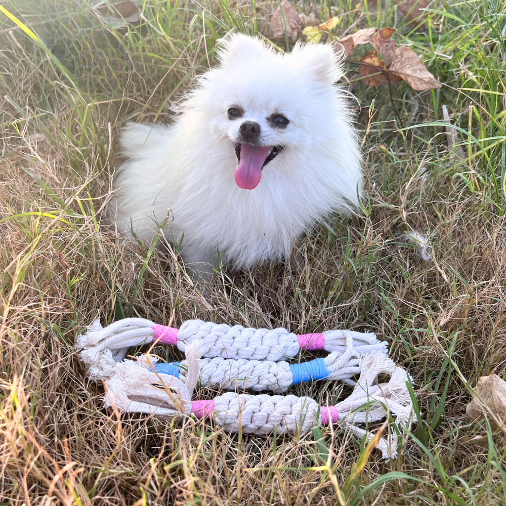 Rainbow Candy Macrame Rope Pet Toy-2