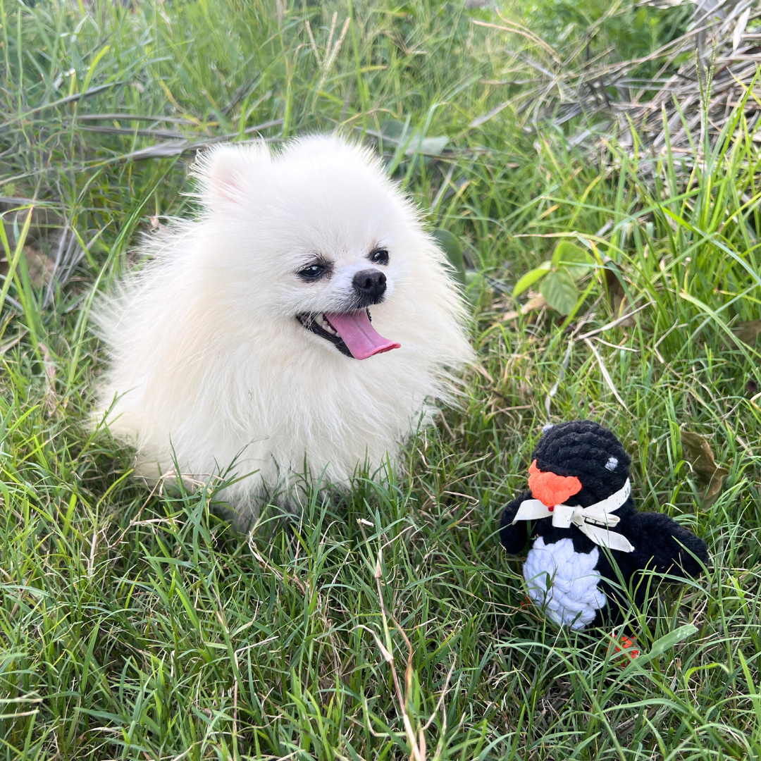 Kaixin the Penguin Rope Toy-2
