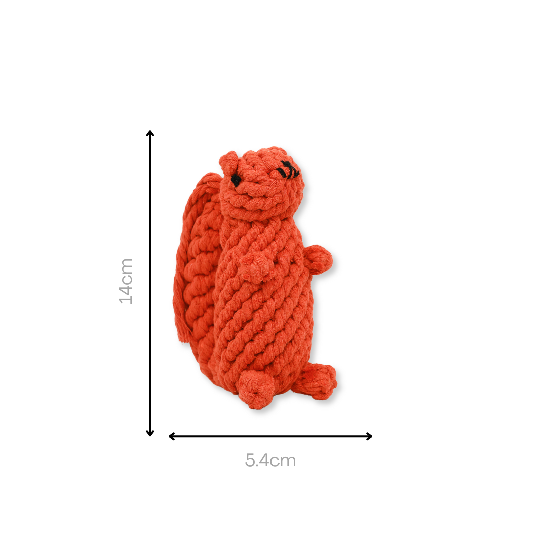 Oliver the Squirrel Rope Toy-3