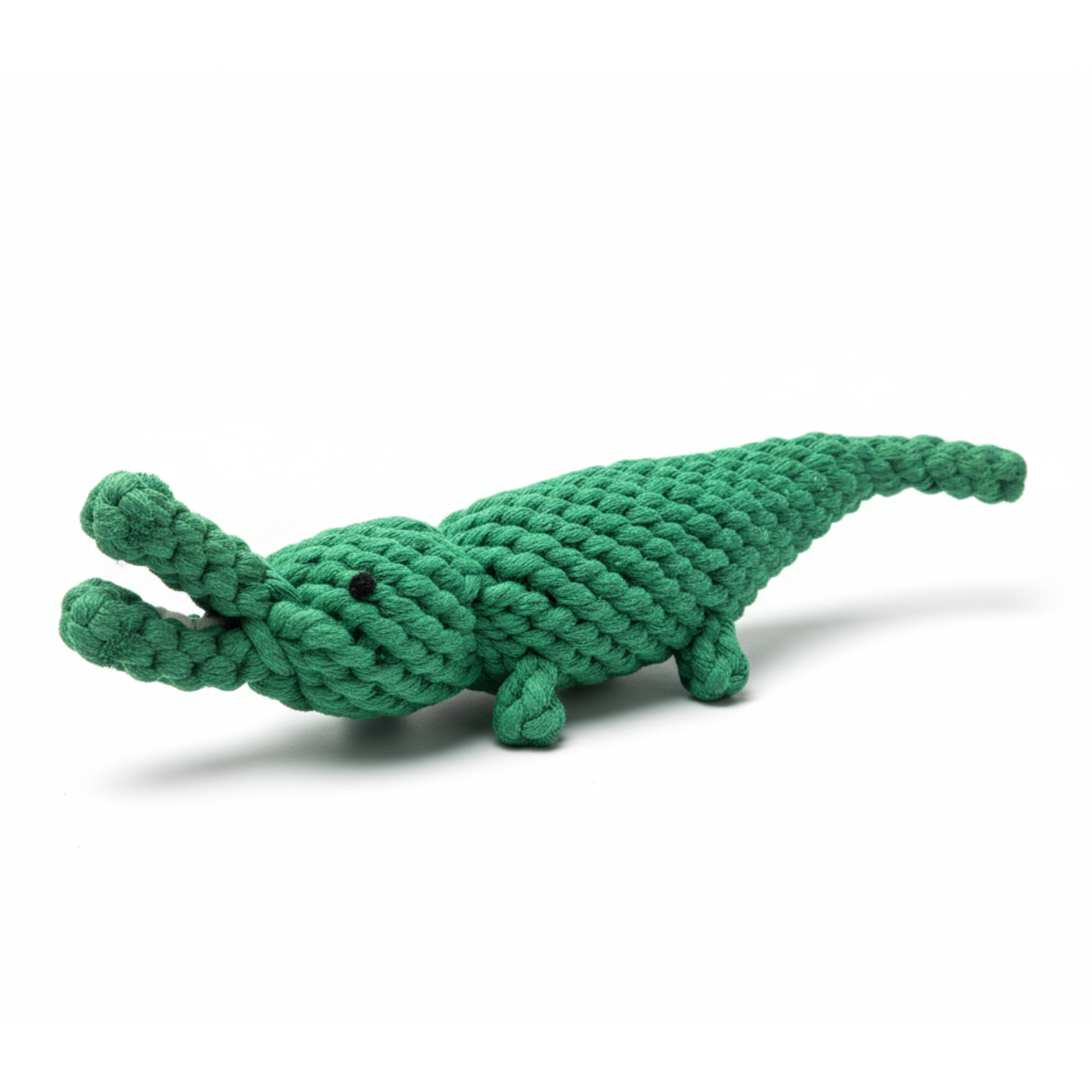 Ally-The Green Alligator-0