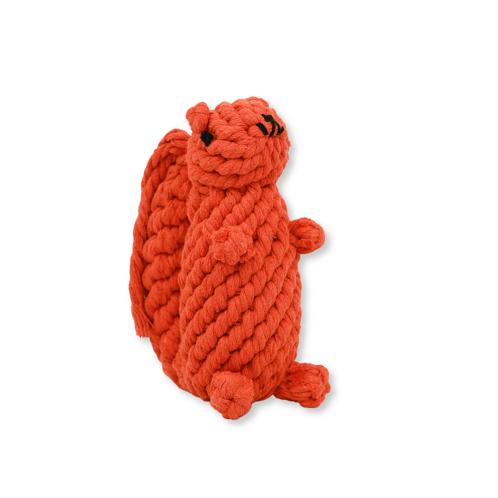 Oliver the Squirrel Rope Toy-0