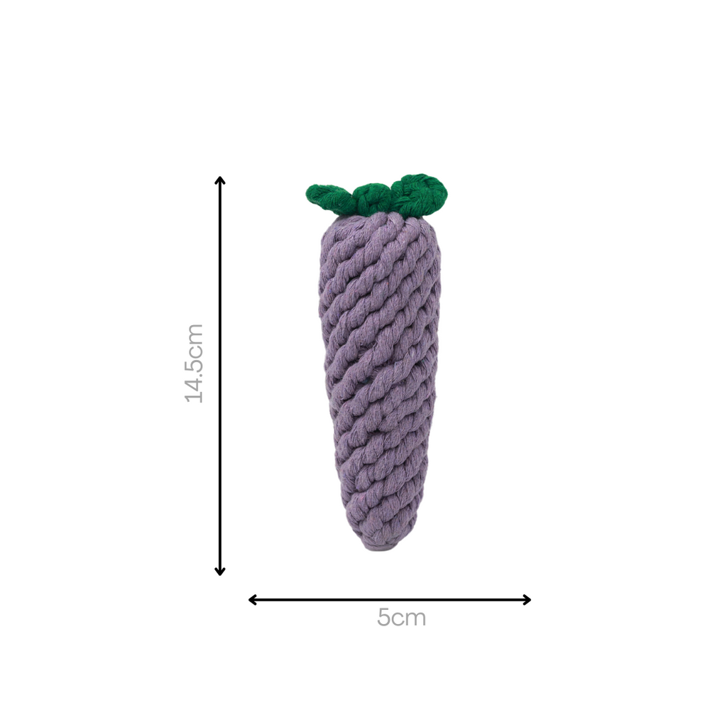 Handmade Eggplant Rope Toy-3