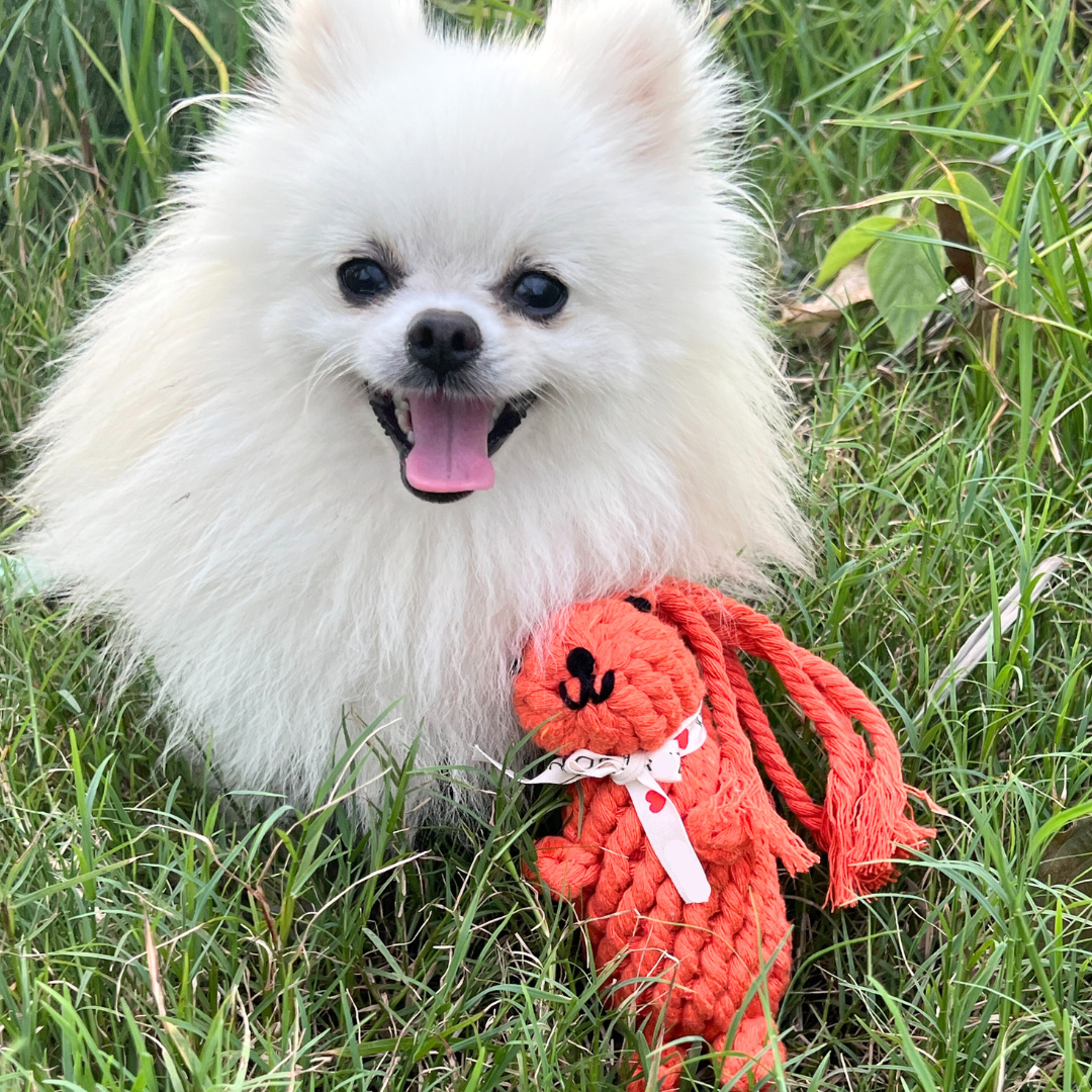 Oliver the Squirrel Rope Toy-2