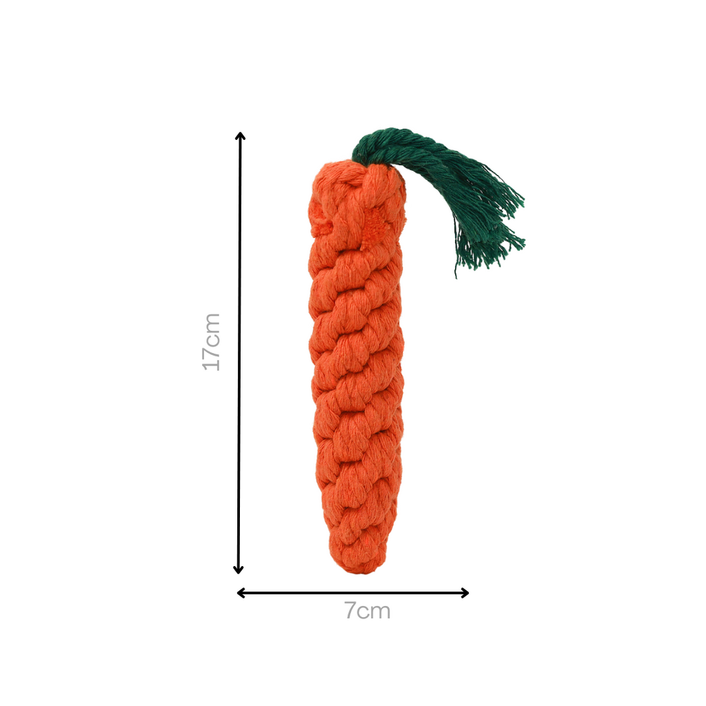 Monli Large Orange Carrot-3