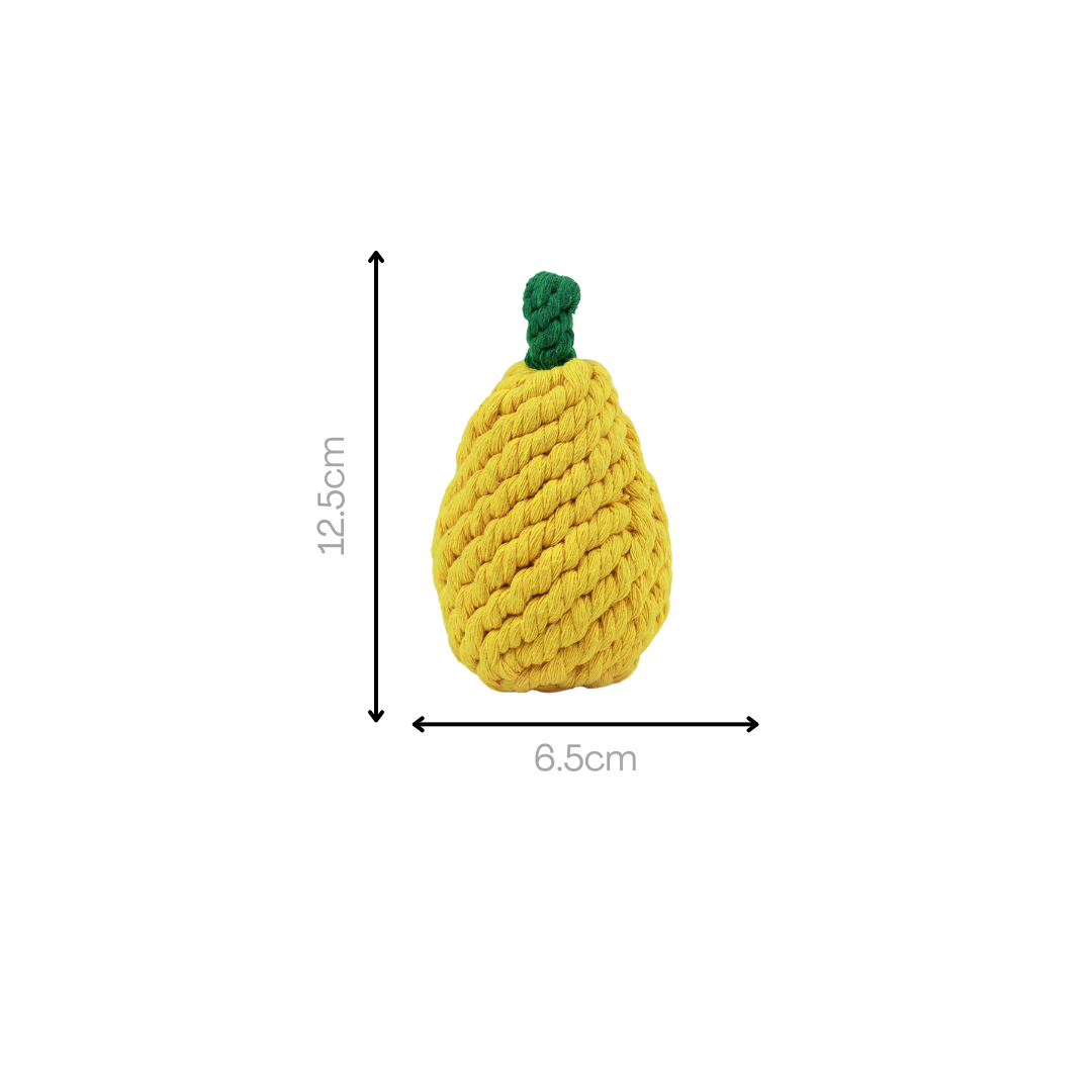 Fruity Delights Artisan Rope Toys-9