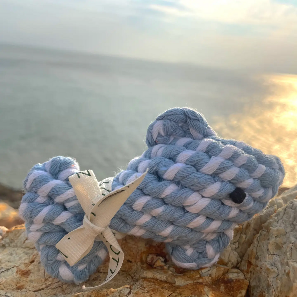 April the Happy Fish Pet Rope Toys-2