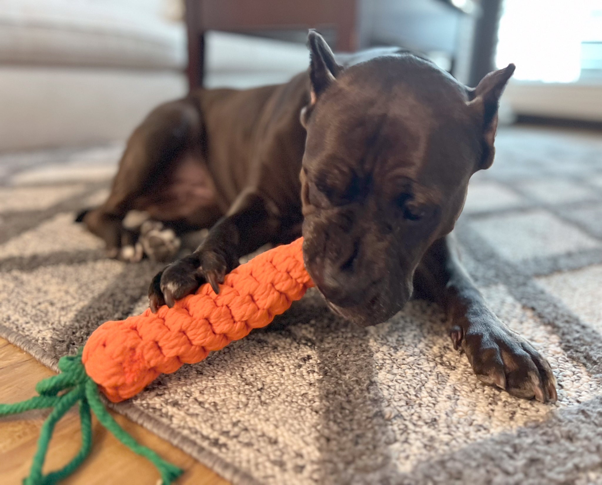 Monli Large Orange Carrot-2