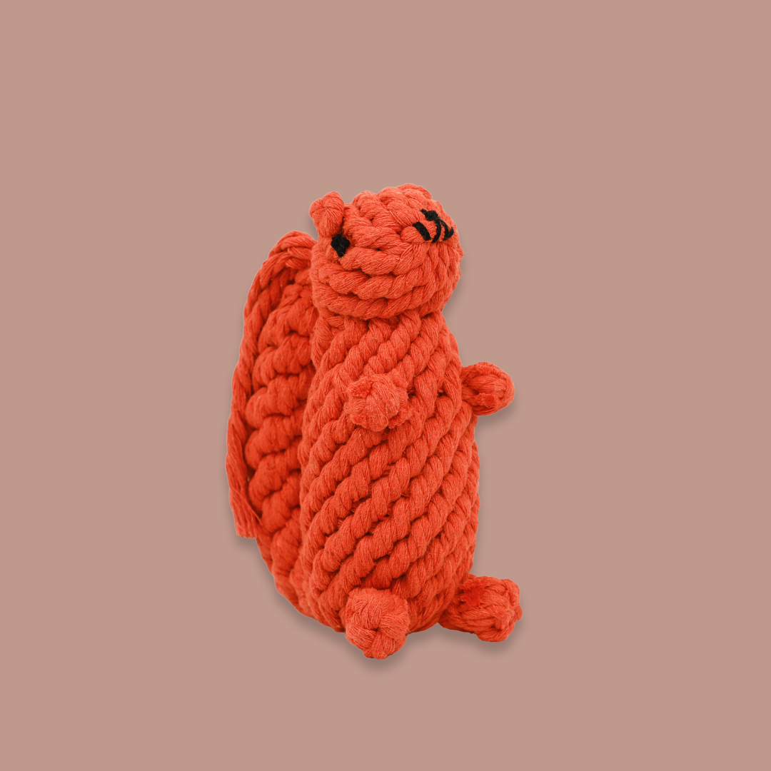 Oliver the Squirrel Rope Toy-1
