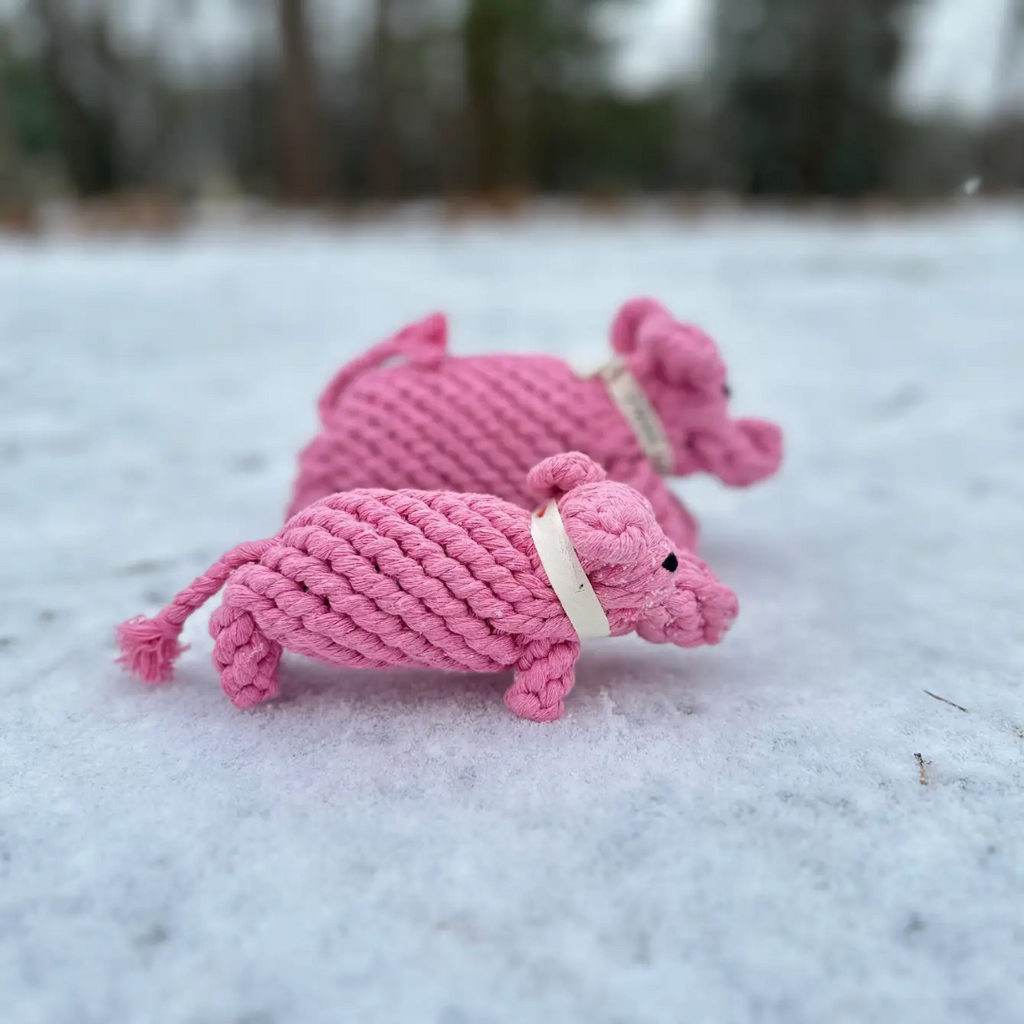 Piggy Pink Rope Dog Toy-2